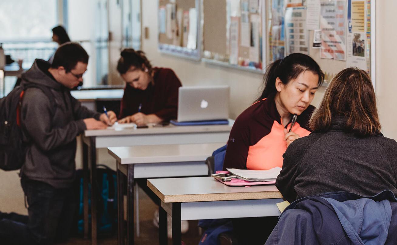 Photo of students studying world languages