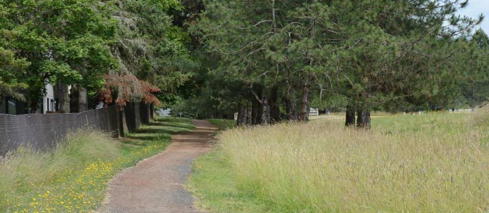 Photo of the Wellness Trail